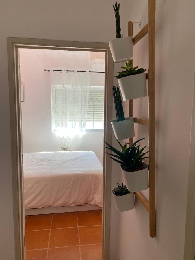 Apartment Vicentino *